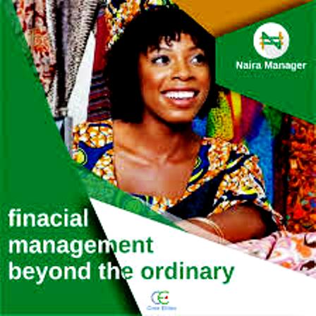 Naira Manager kits enterprises with financial management app