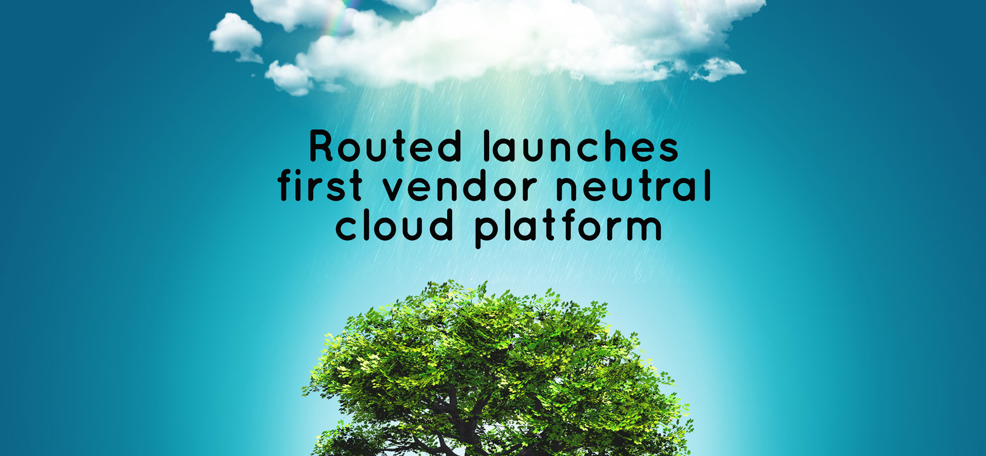 Organic growth of cloud expected to increase , Routed