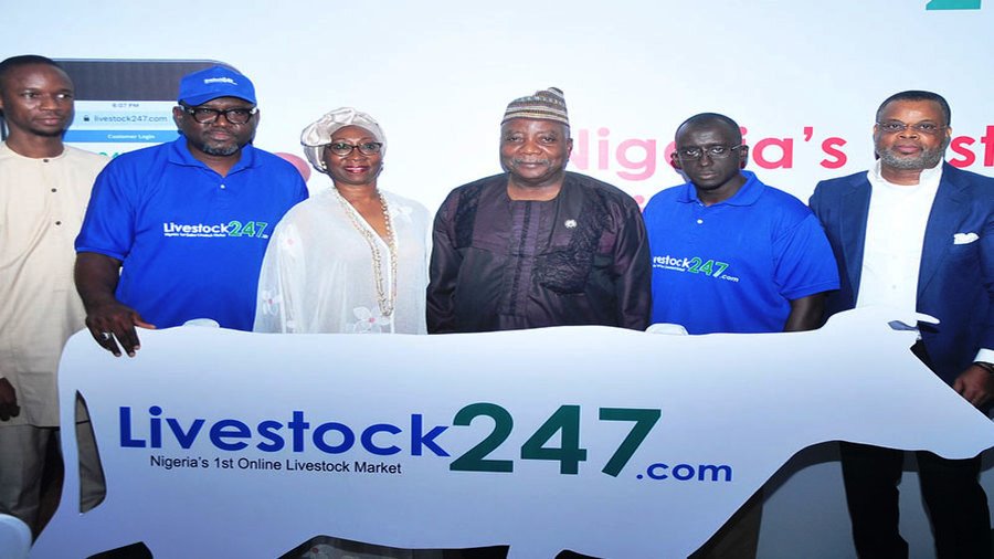 Livestock247.com opens in Lagos