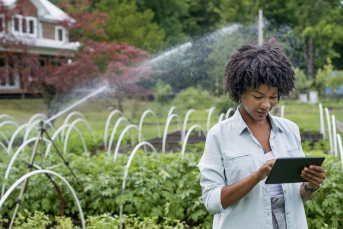 An organic horticultural nursery and farm outside Woodstock. A woman holding a digital tablet. Image by Tim RobbinsMint. Images: Corbis