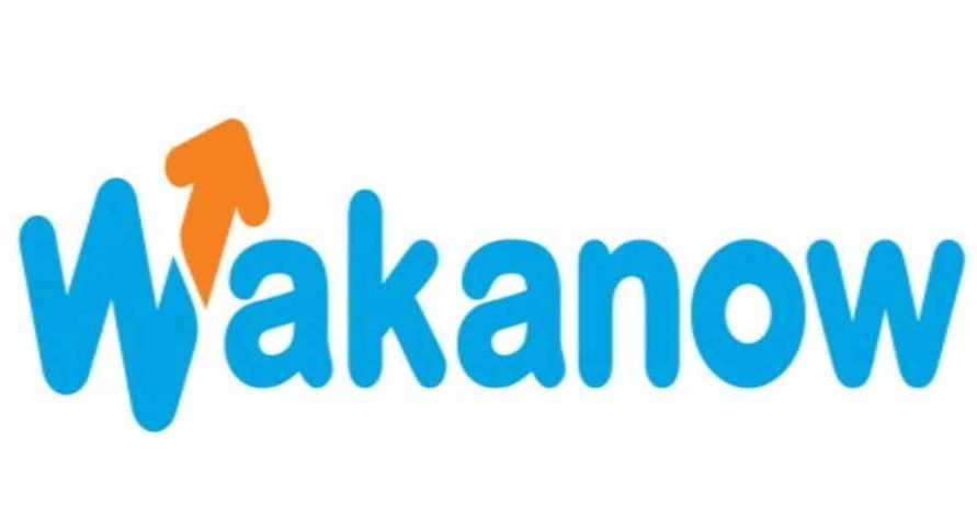 Wakanow to expand operations with $40m equity funding from The Carlyle Group