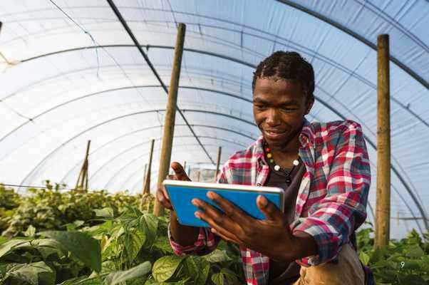 Generation Africa to inspire young Africans to become agri-food entrepreneurs