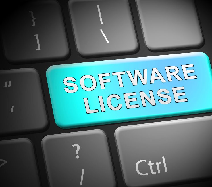 Are software licenses a cost centre or cost benefit? ITEdgeNews