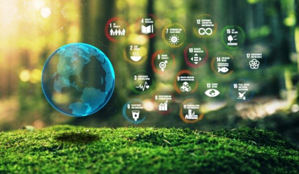 SDG Digital gets new commitments to accelerate progress on Sustainable ...