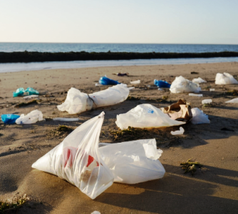 Bioplastics in Africa