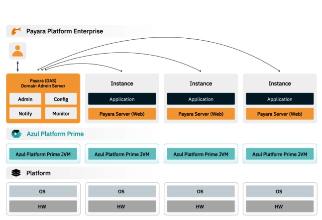 Payara and Azul in partnership to power high-performance Java ...