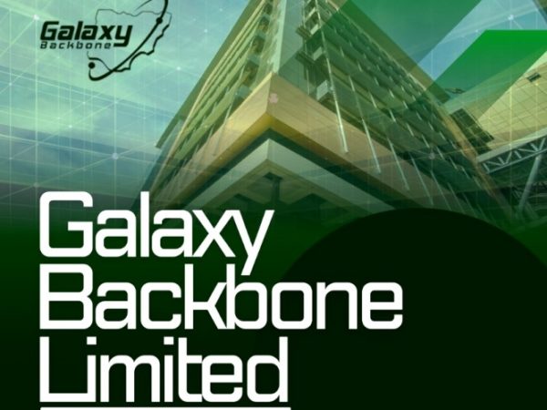 Nigeria's civil service advances digital transformation with launch of ...