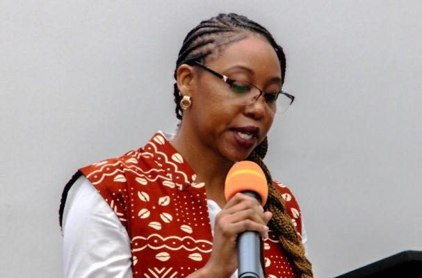 hief Executive Officer of U.S.-based Arise Funds, Aisha Saaka,