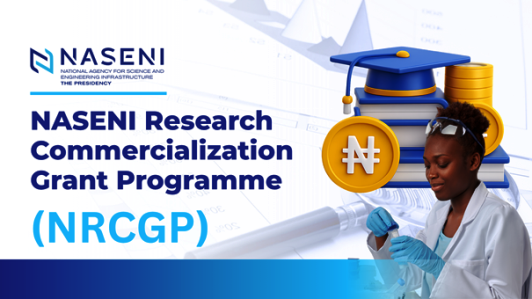 NASENI Research