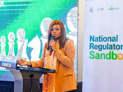 Nigeria's national regulatory sandbox