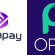 OPay, PalmPay IPO plans spark fresh debate over Nigeria’s share of fintech wealth